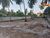 Terreno, 596 m² - Foto 3