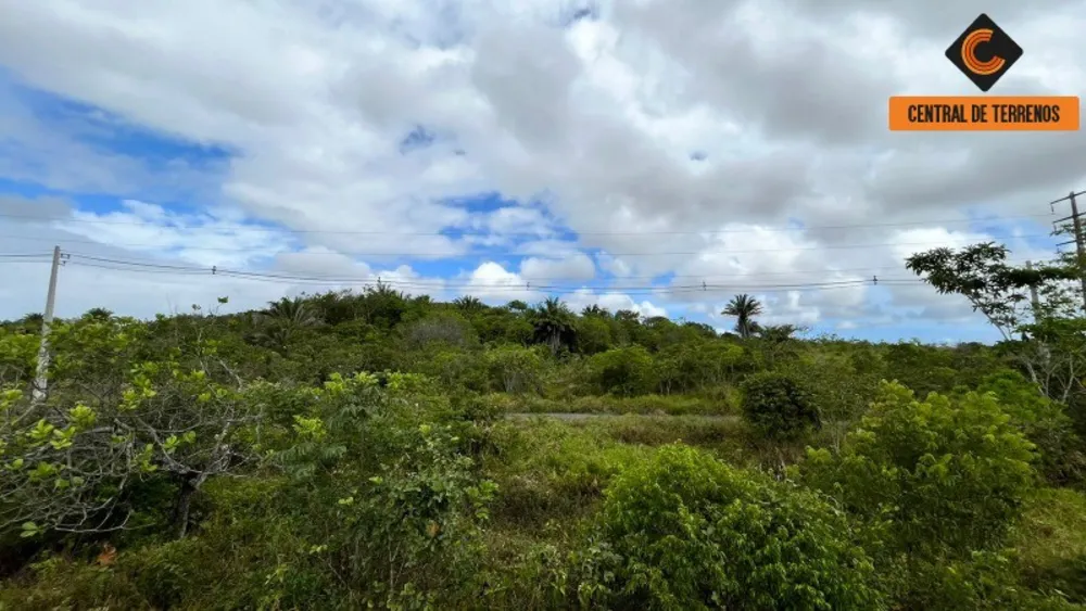 Loteamento e Condomínio, 10000 m² - Foto 5