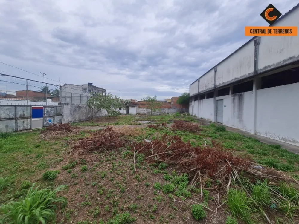 Depósito-Galpão - Foto 6