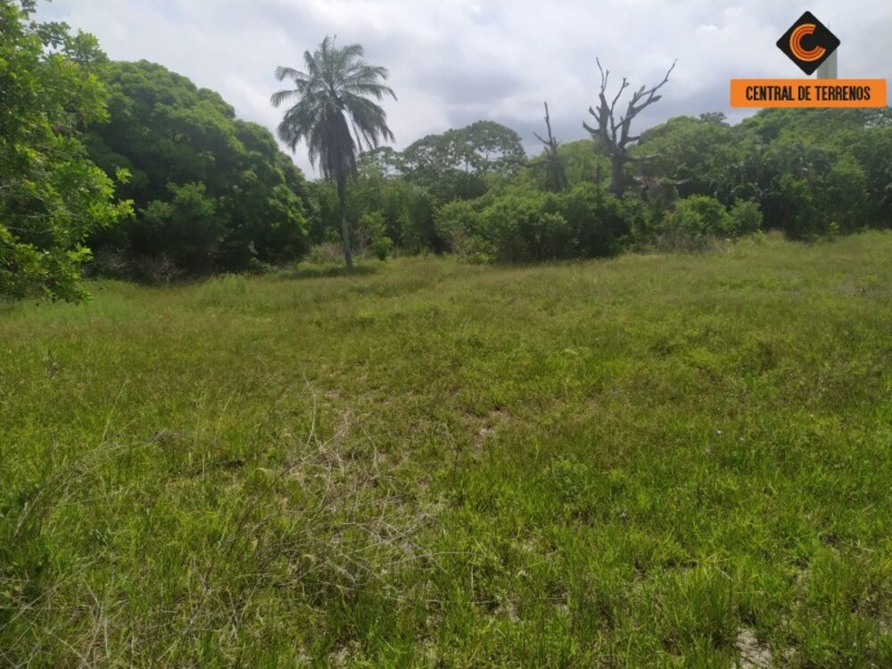 Loteamento e Condomínio, 3 hectares - Foto 3