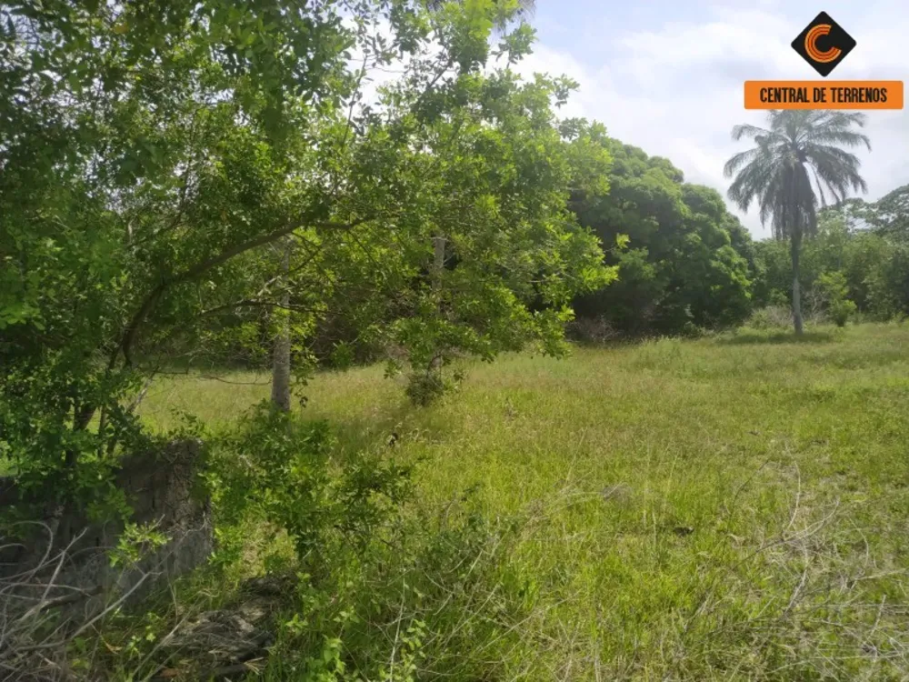 Loteamento e Condomínio, 3 hectares - Foto 6