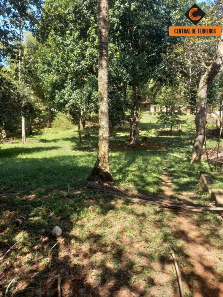 Sítio à venda com 3 quartos, 5045m² - Foto 4