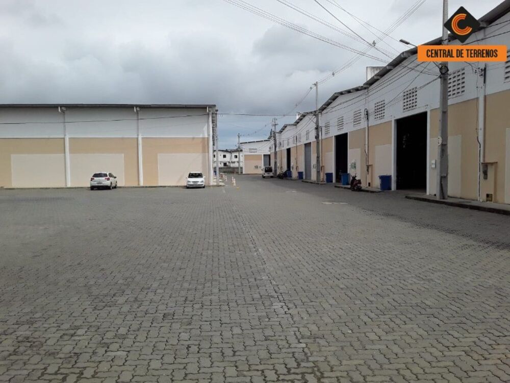 Depósito-Galpão - Foto 6