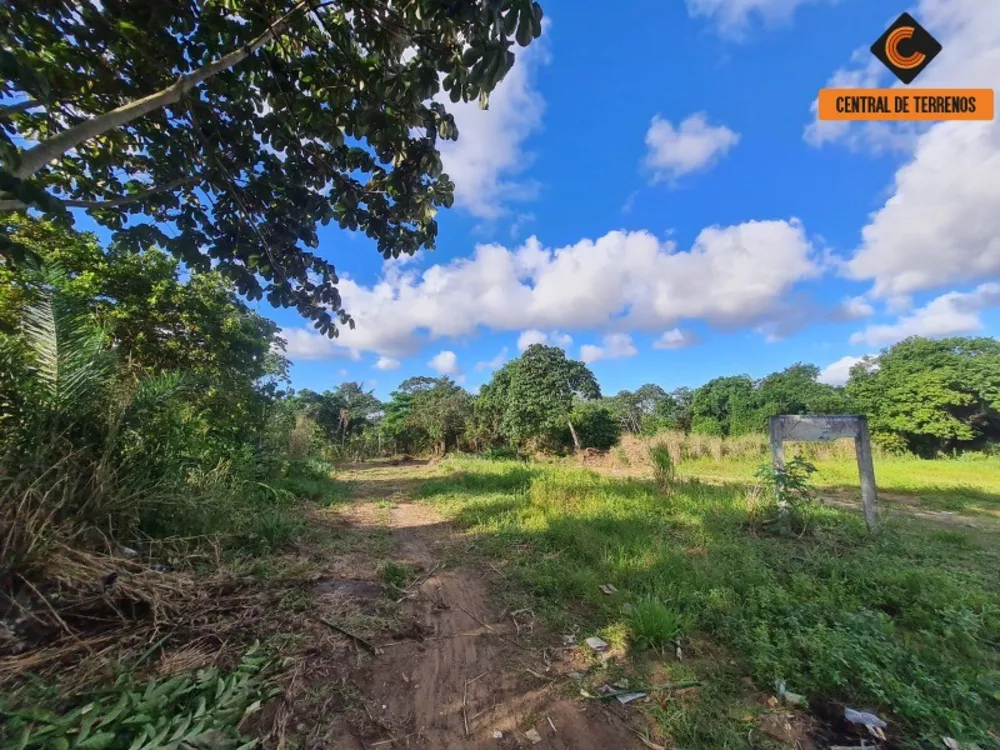 Terreno à venda, 36000m² - Foto 3