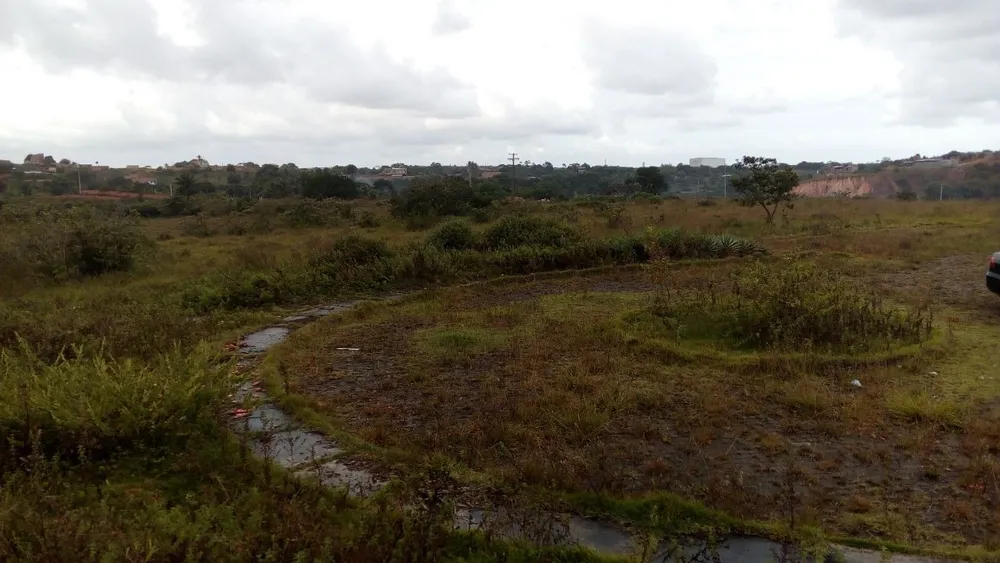 Terreno, 65 hectares - Foto 7