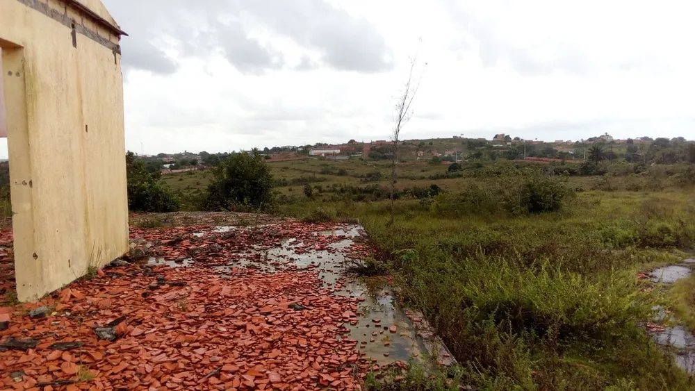 Terreno, 65 hectares - Foto 9
