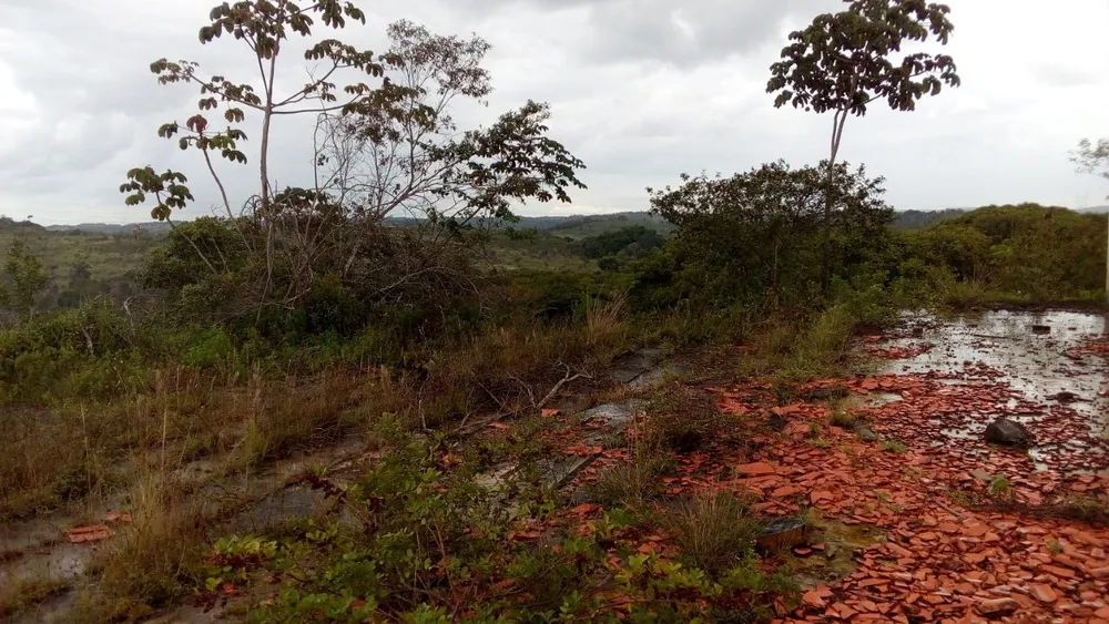 Terreno, 65 hectares - Foto 8