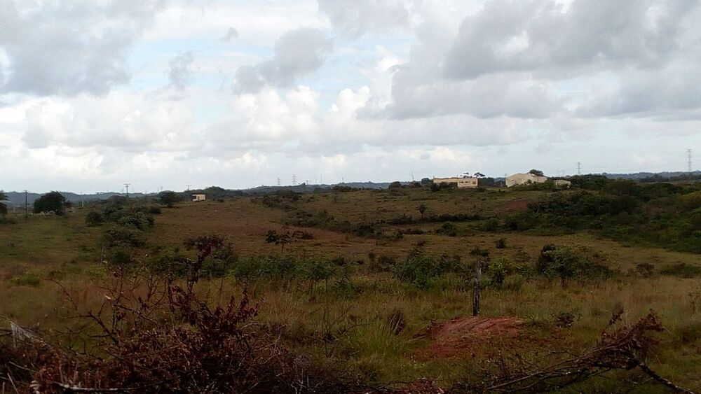 Terreno, 65 hectares - Foto 3