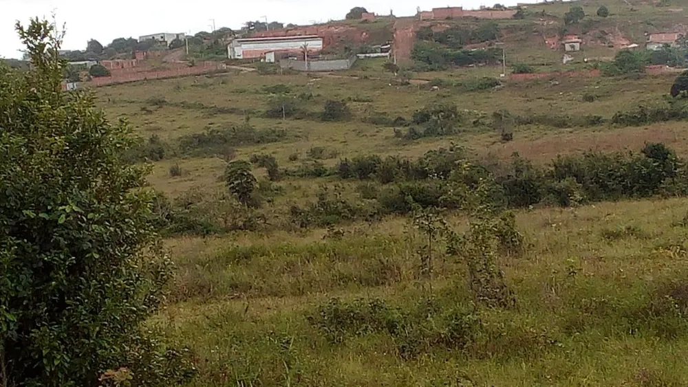 Terreno, 65 hectares - Foto 6