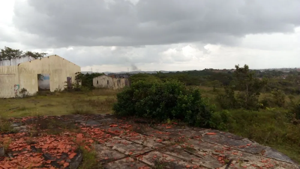 Terreno, 65 hectares - Foto 1