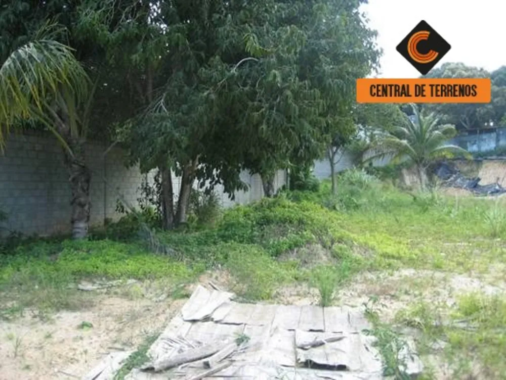 Terreno, 10000 m² - Foto 9