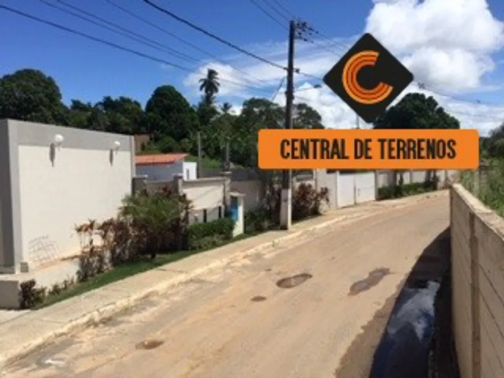 Terreno, 10000 m² - Foto 5