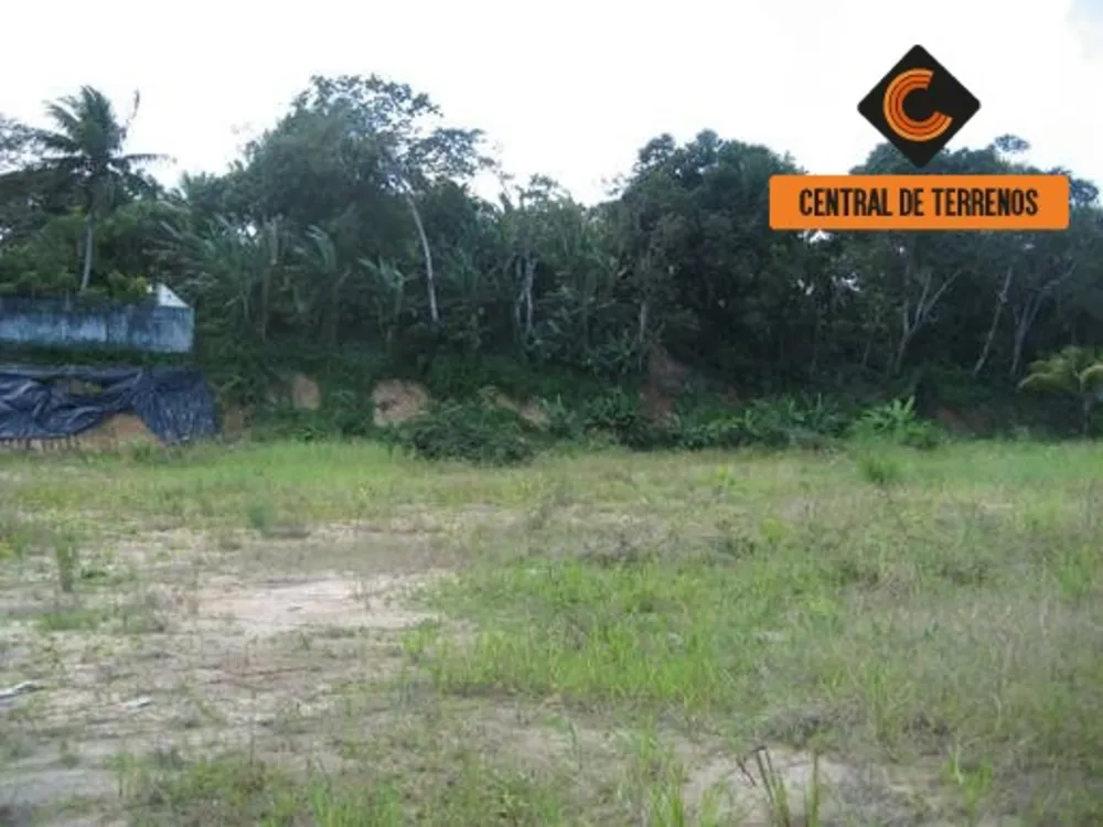 Terreno, 10000 m² - Foto 11