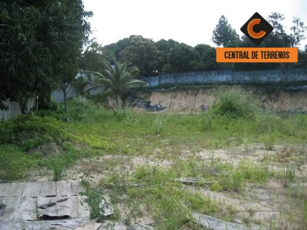 Terreno, 10000 m² - Foto 10