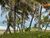 Terreno, 900 m² - Foto 5