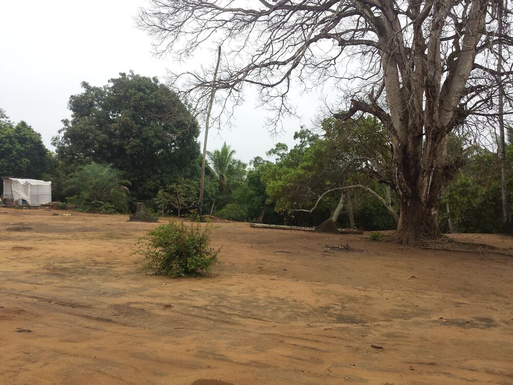 Terreno à venda, 100000m² - Foto 2