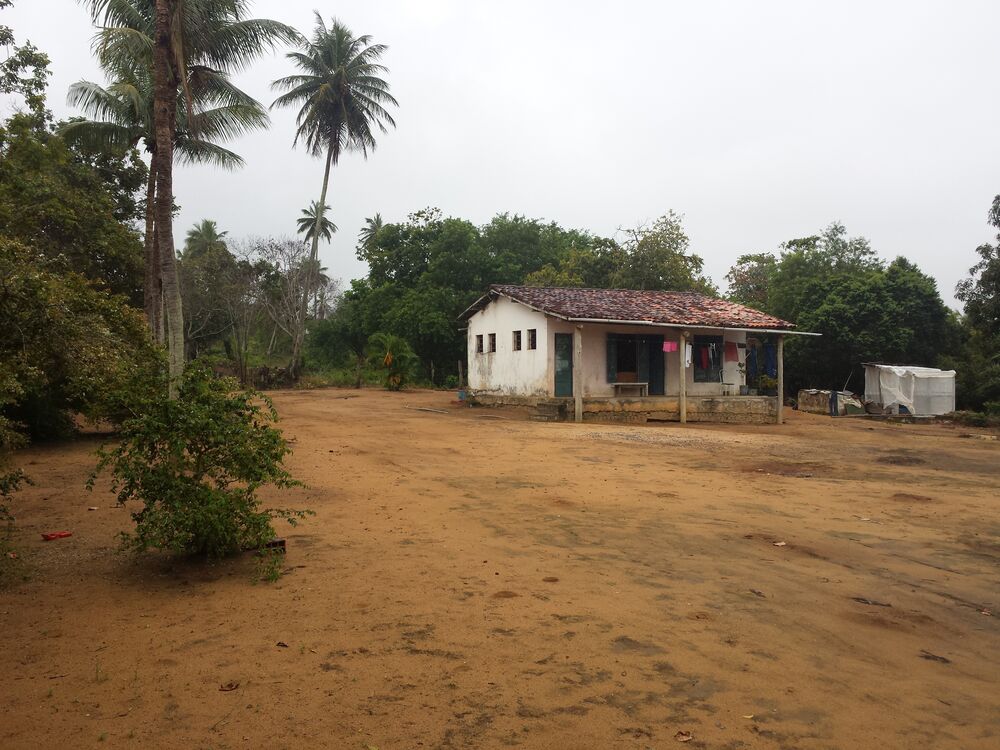 Terreno à venda, 100000m² - Foto 1
