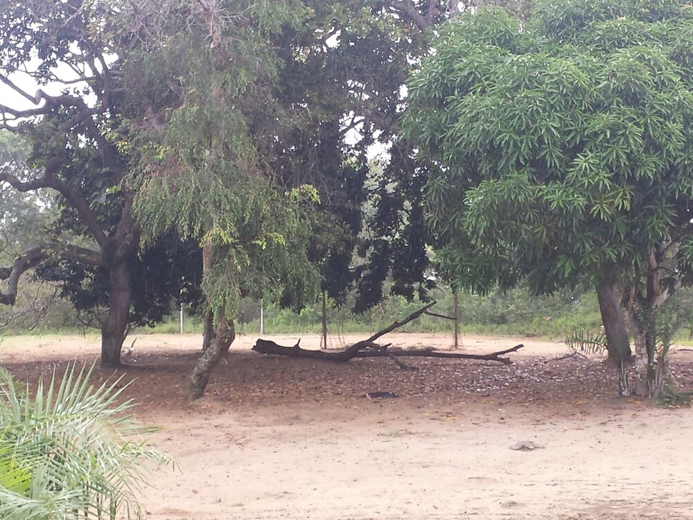 Terreno à venda, 100000m² - Foto 4