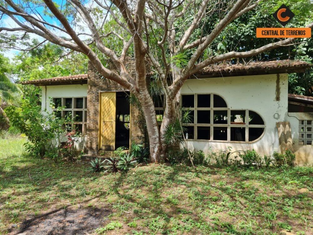 Sítio, 3 quartos, 114000 m² - Foto 4