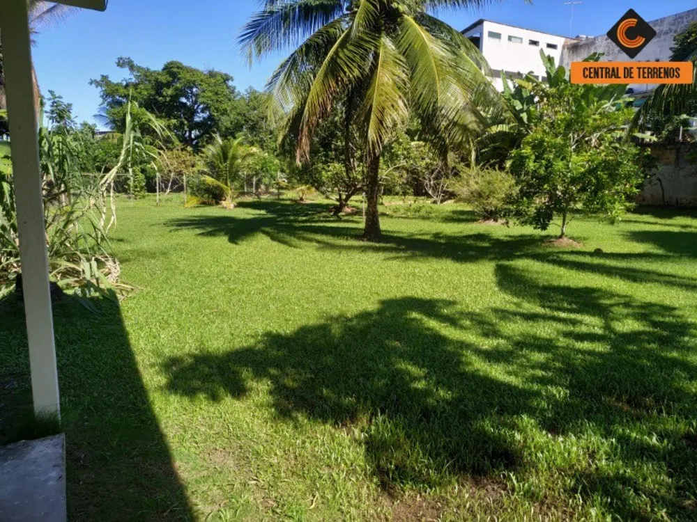 Sítio, 6 quartos, 4278 m² - Foto 2
