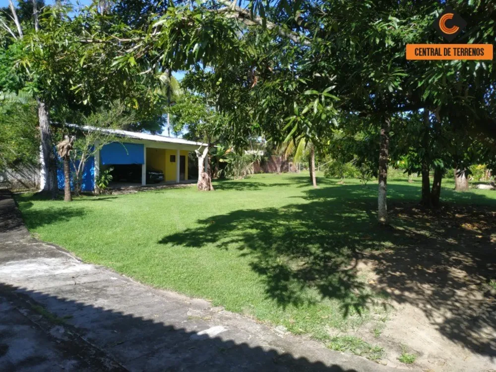 Sítio, 6 quartos, 4278 m² - Foto 3