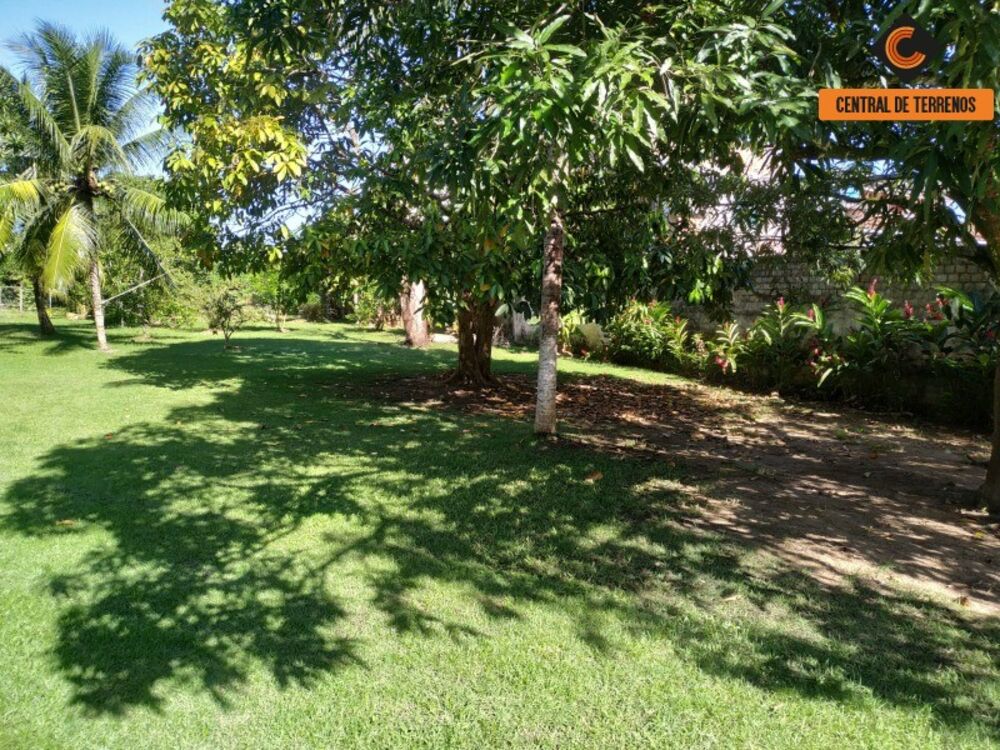 Sítio, 6 quartos, 4278 m² - Foto 1