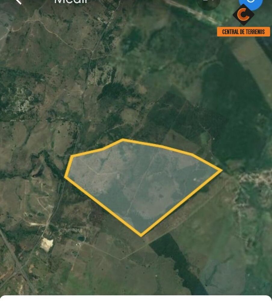 Terreno, 250 hectares - Foto 1