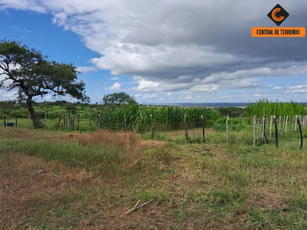 Fazenda - Foto 10