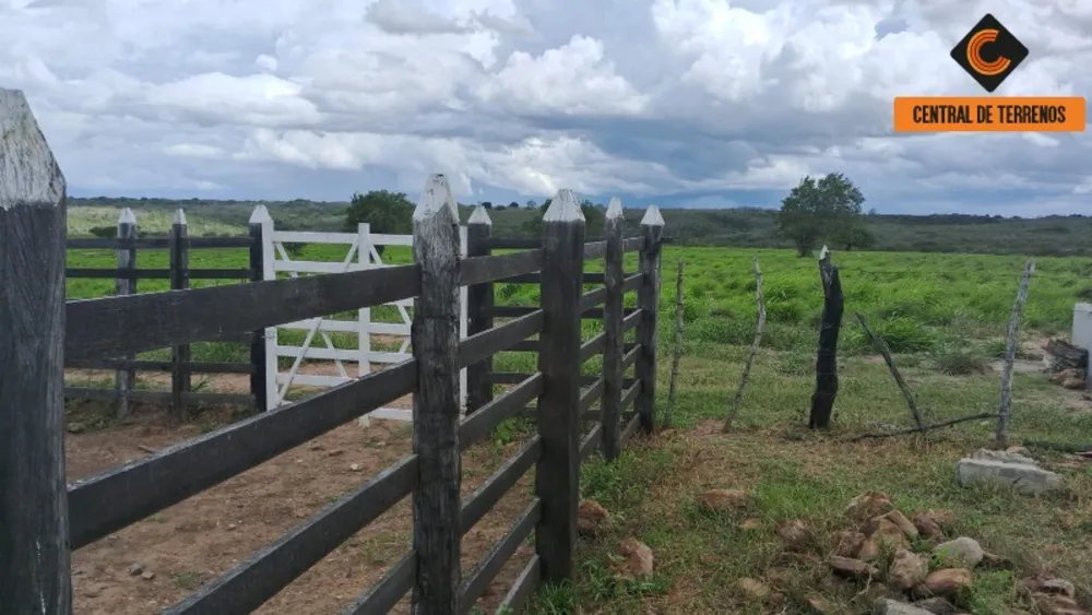 Fazenda - Foto 6