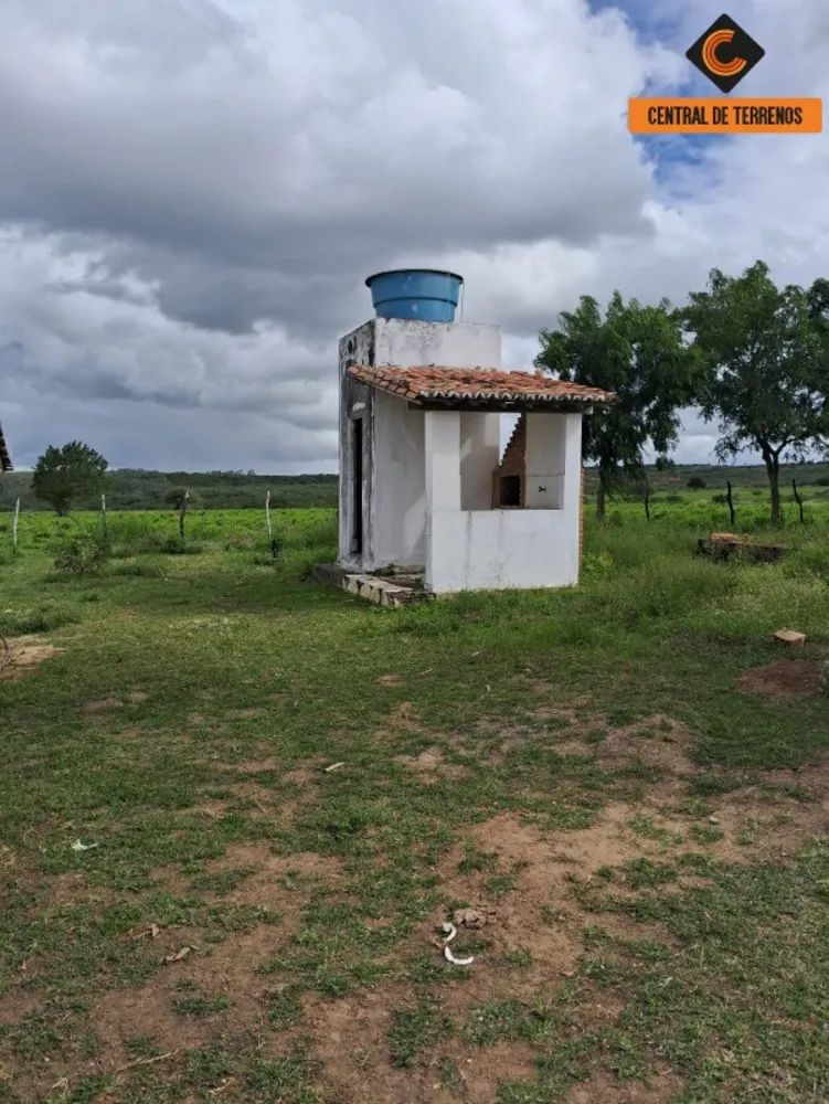 Fazenda - Foto 12