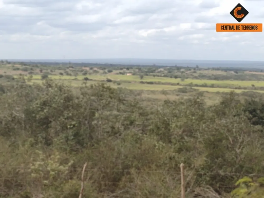 Fazenda - Foto 7