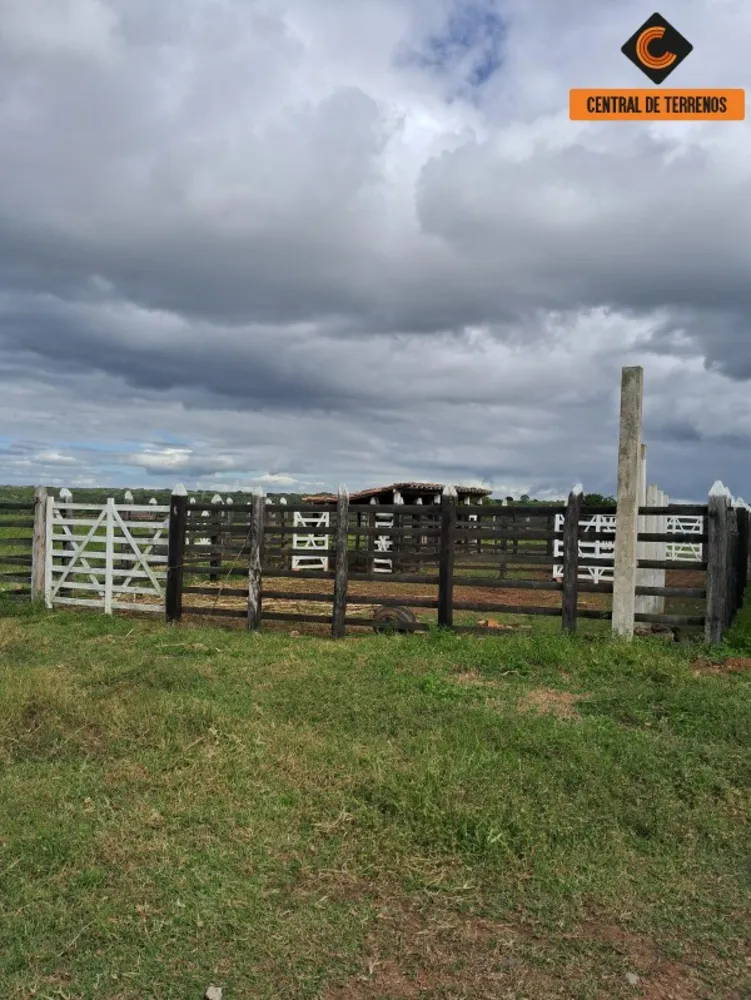 Fazenda - Foto 4