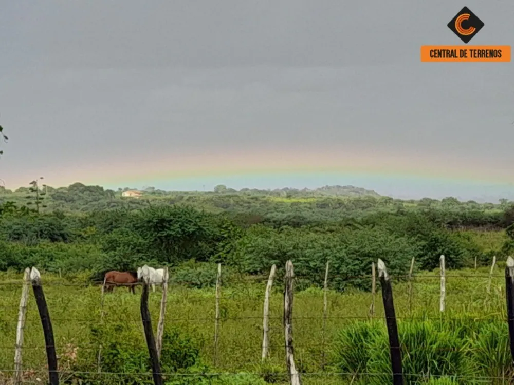 Fazenda - Foto 8