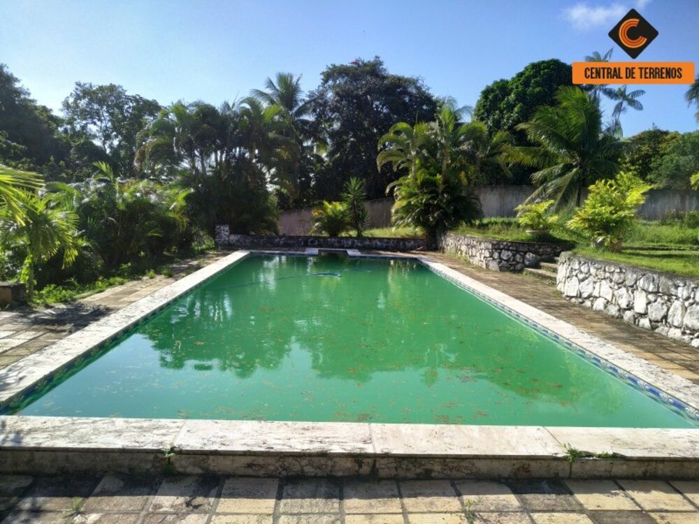 Terreno, 3000 m² - Foto 2