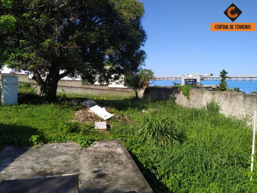 Terreno, 3000 m² - Foto 3