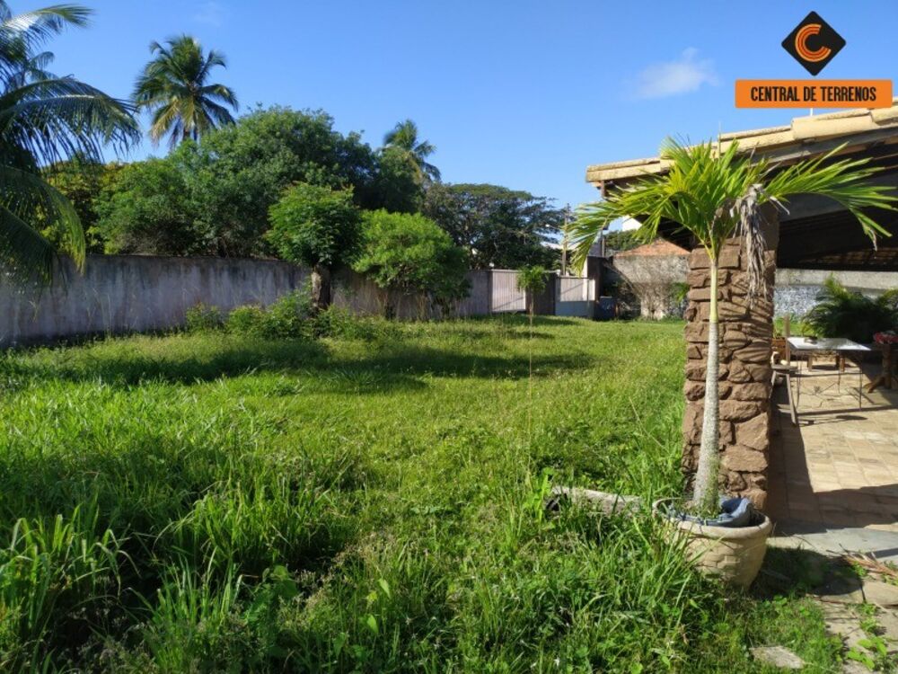 Terreno, 3000 m² - Foto 4