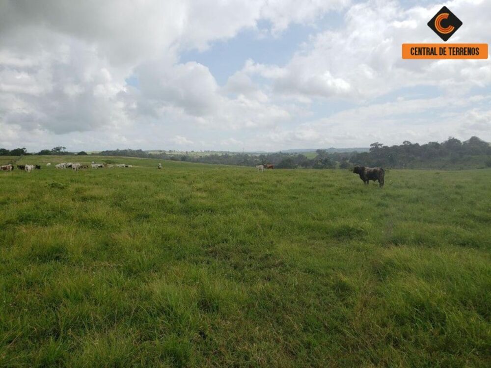 Fazenda, 3 quartos - Foto 1