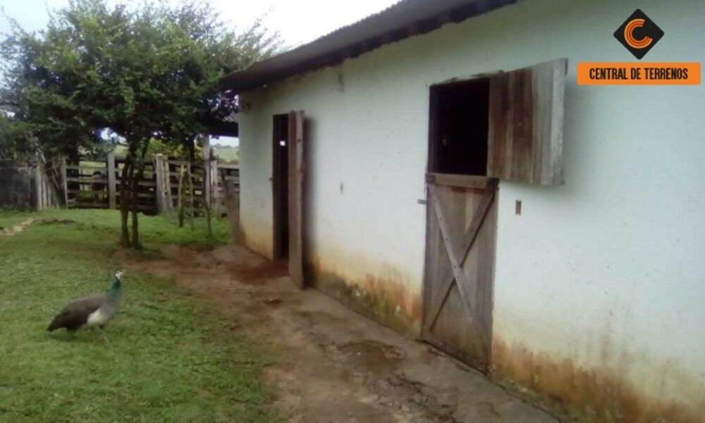 Fazenda, 3 quartos - Foto 4