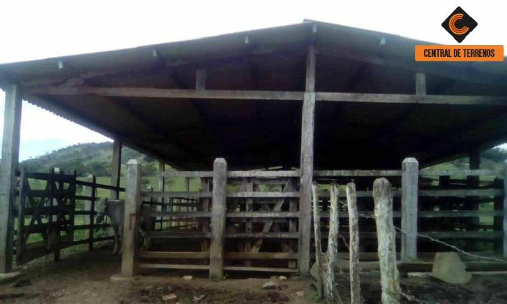 Fazenda, 3 quartos - Foto 3