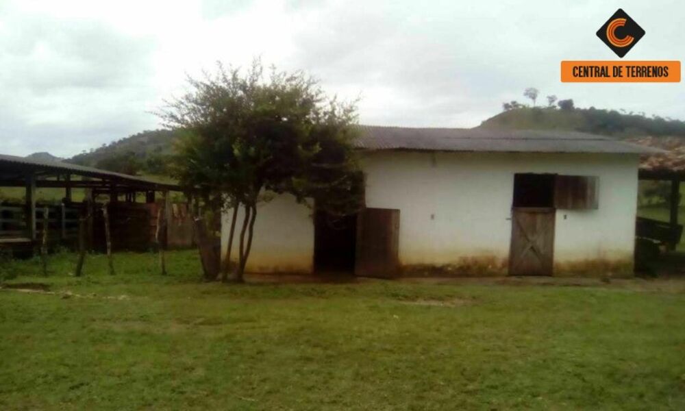 Fazenda, 3 quartos - Foto 2