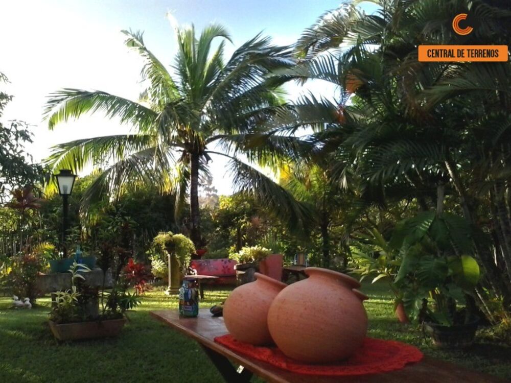 Sítio, 1 quarto, 5712 m² - Foto 3