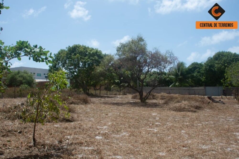 Terreno, 1400 m² - Foto 2