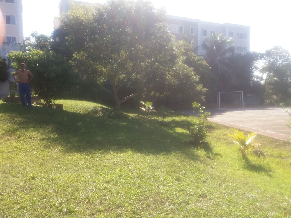 Sítio, 4 quartos, 9000 m² - Foto 3