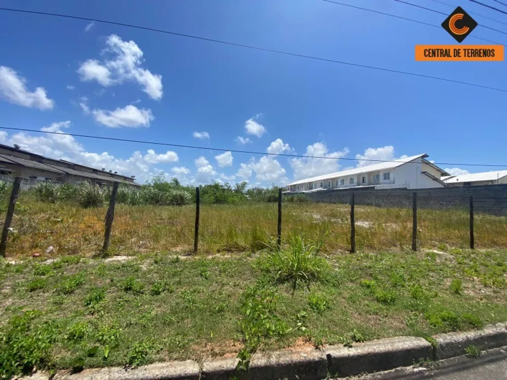 Terreno, 2725 m² - Foto 9