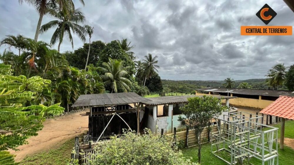 Chácara, 2 quartos, 10 hectares - Foto 4