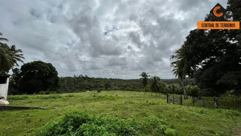 Chácara, 2 quartos, 10 hectares - Foto 4