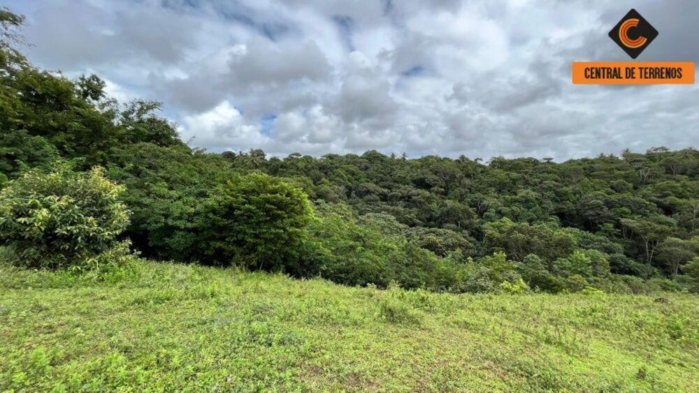 Chácara, 2 quartos, 10 hectares - Foto 3