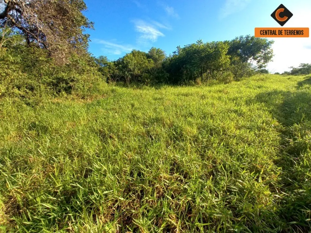 Loteamento e Condomínio, 6 hectares - Foto 6