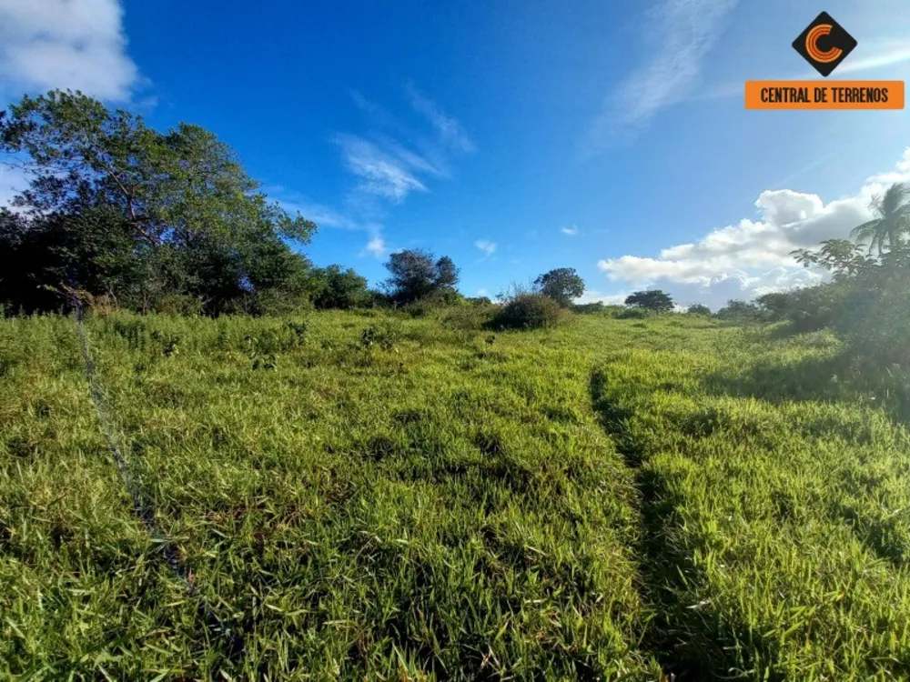 Loteamento e Condomínio, 6 hectares - Foto 3