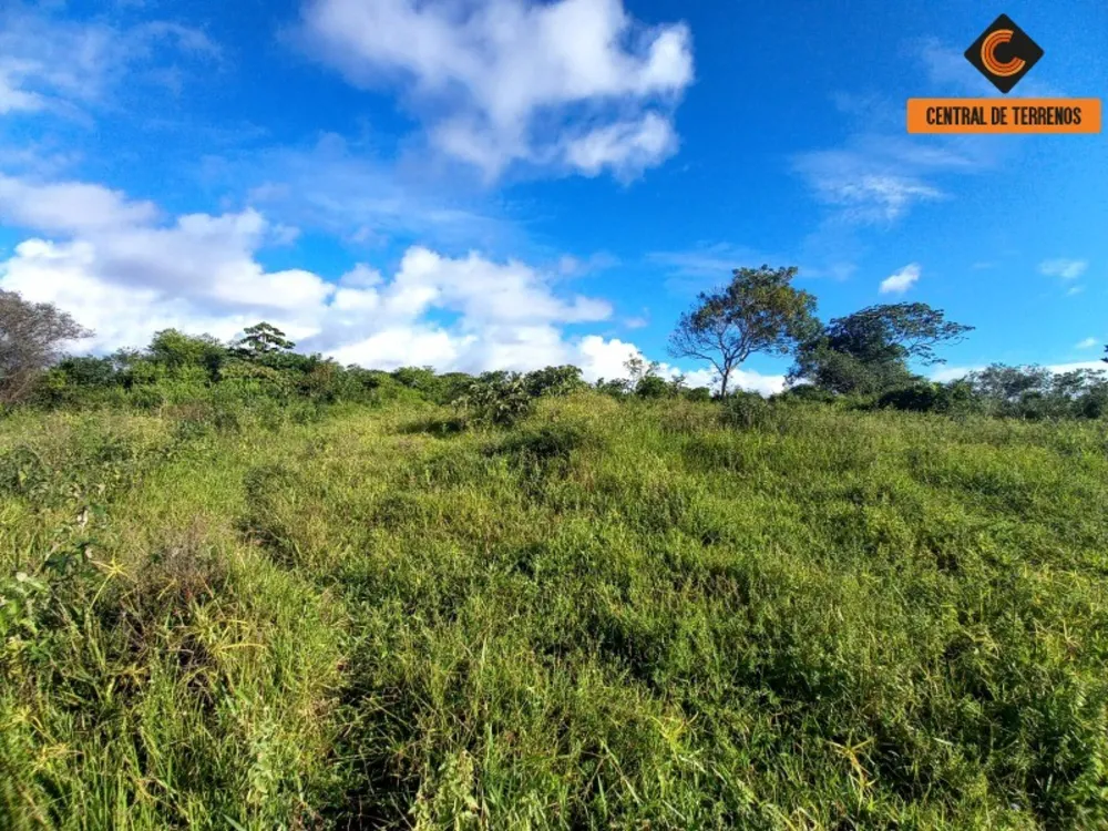 Loteamento e Condomínio, 6 hectares - Foto 4
